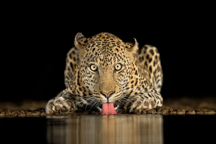 Brendon Cremer, South Africa National Award