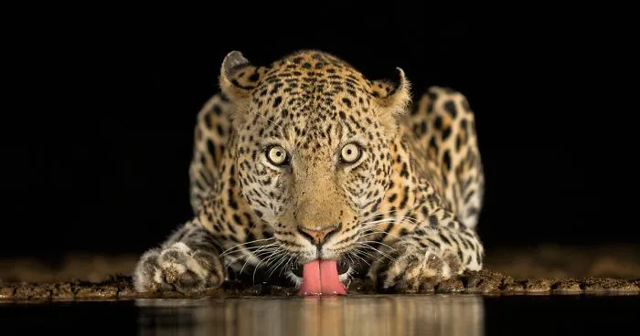 The Winners Of The 2018 Sony World Photography Awards Have Been Announced