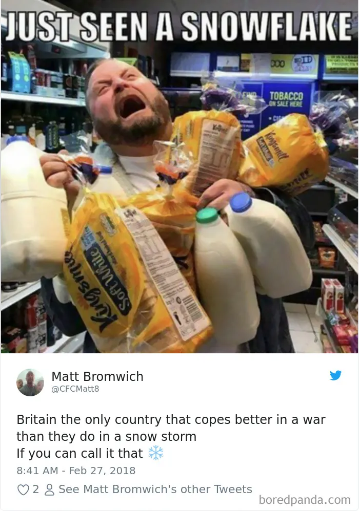 Internet Can't Stop Laughing At Brits Who Are In Absolute Chaos Because Of A Little Snow