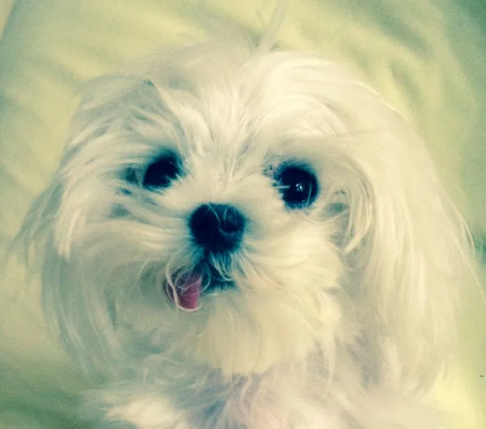 Twinkle