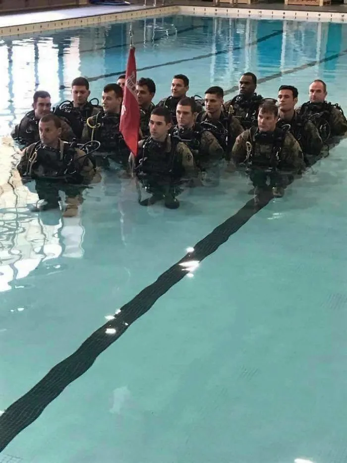 They Look Like Tiny Men Training In The Pool