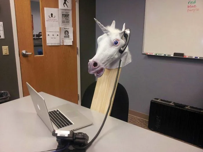Estamos sin jefe unas semanas, así que hemos improvisado