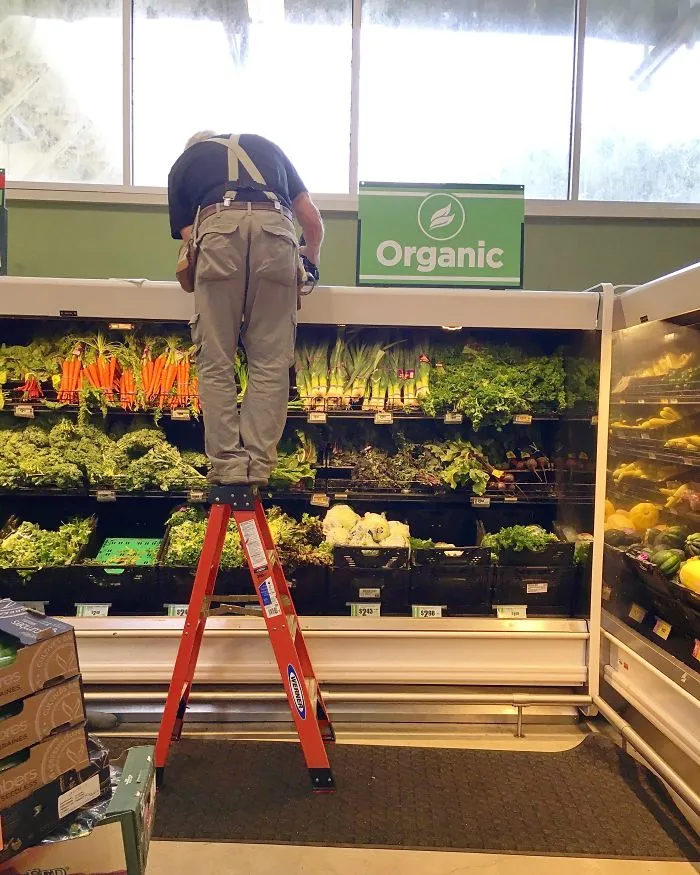 Where Vegetables Come From