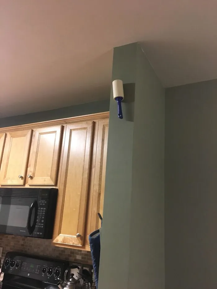 My Husband Has Been Sticking These In Places I Can't Reach To Annoy Me. It's Working