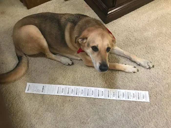 El ticket por comprar una botella de aceite vegetal (perro al lado para comparar)