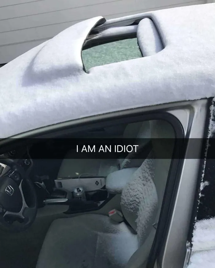 To Enjoy That Sunny Mid-January Weather