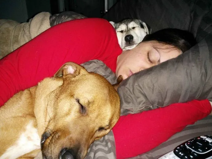 Los perros saben que no se siente bien