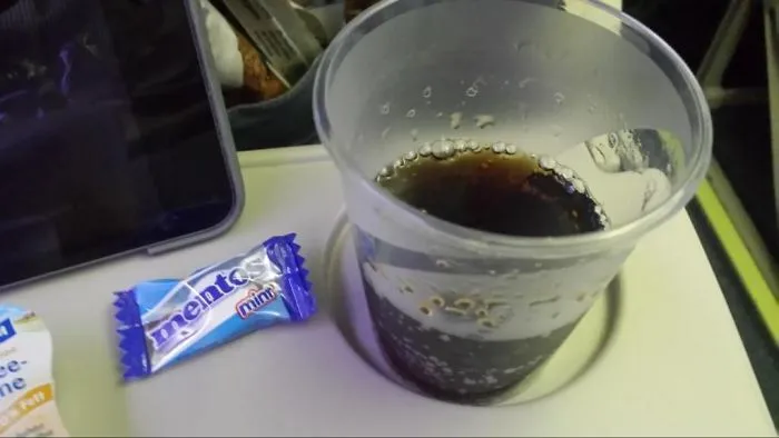 Just Give Passengers A Loaded Gun, Why Don't You?