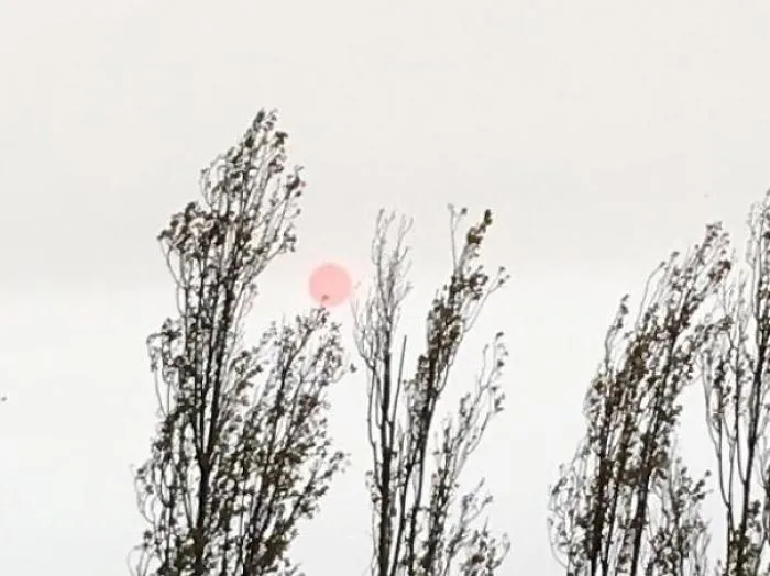 This Photo My Uncle Took Of A Sunset Looks Like A Japanese Painting