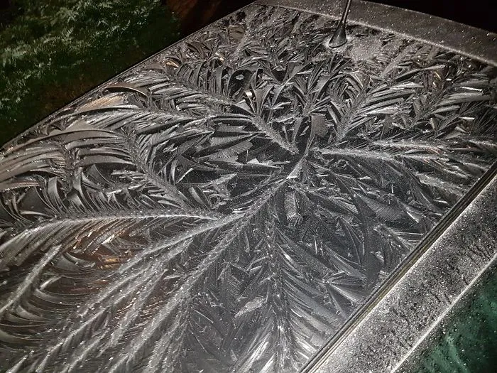 The Icy Roof Of My Car Looked Like A Painting This Morning
