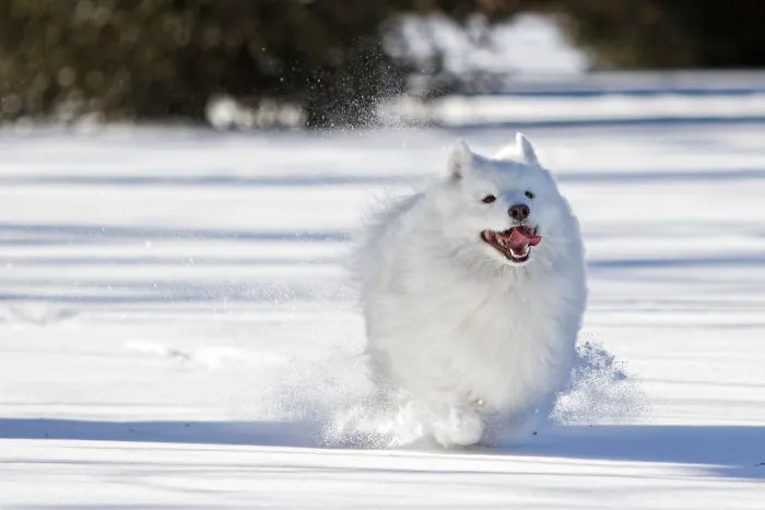 Snow Is Her Playground
