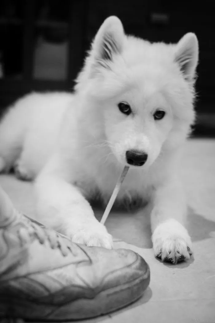 Cute One This Is