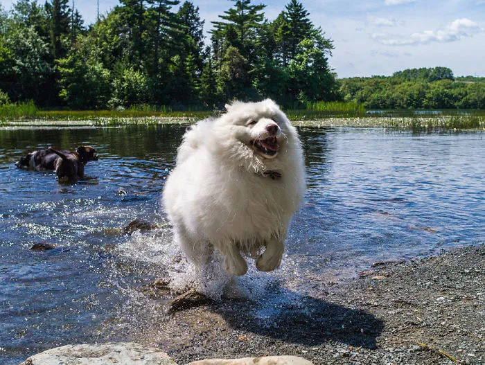 Summer Cool Down