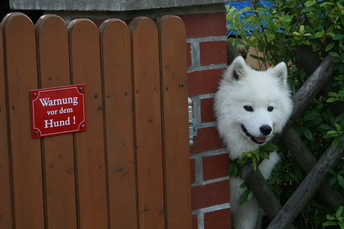 Warning?