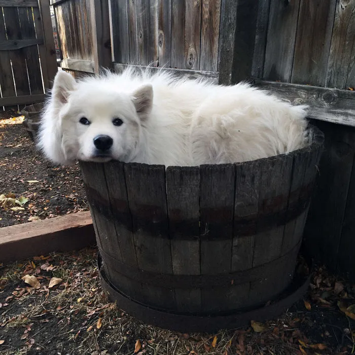 Bell + Barrel