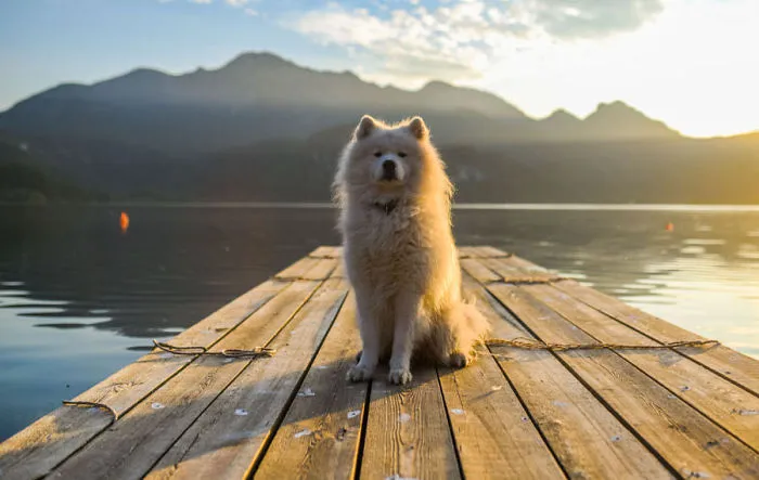 His Sunny Majesty