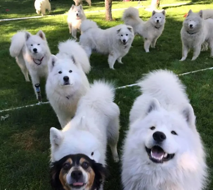 You Came To The Right Neighborhood, Friend