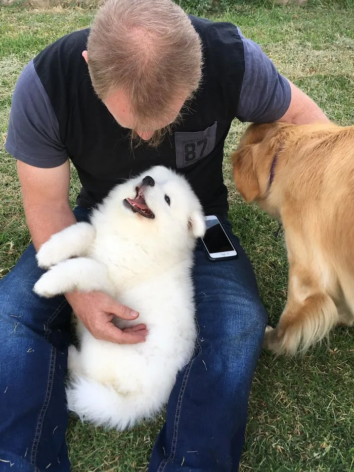 New Family Member Maxi