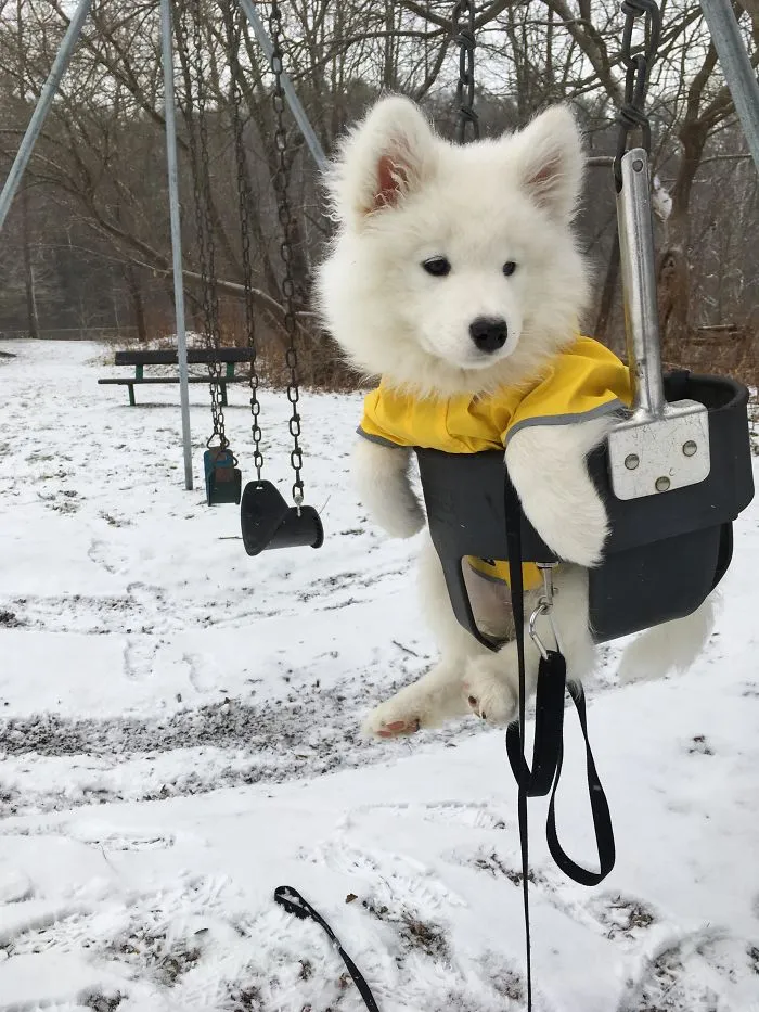Sydney Never Fit In With The Other Kids At The Playground