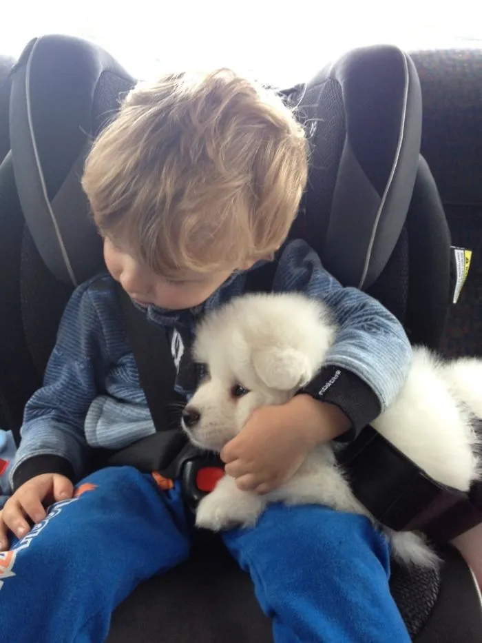 Zelda Got Scared On The Drive Home