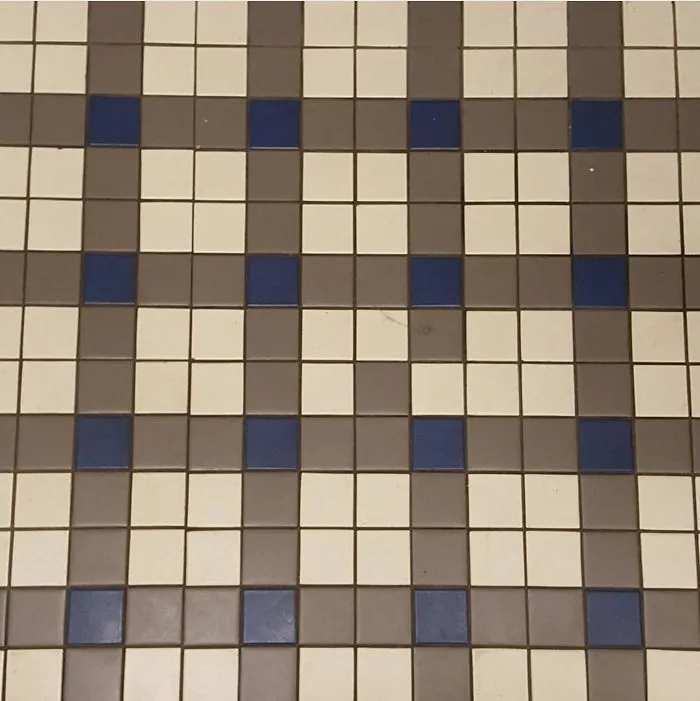 Why