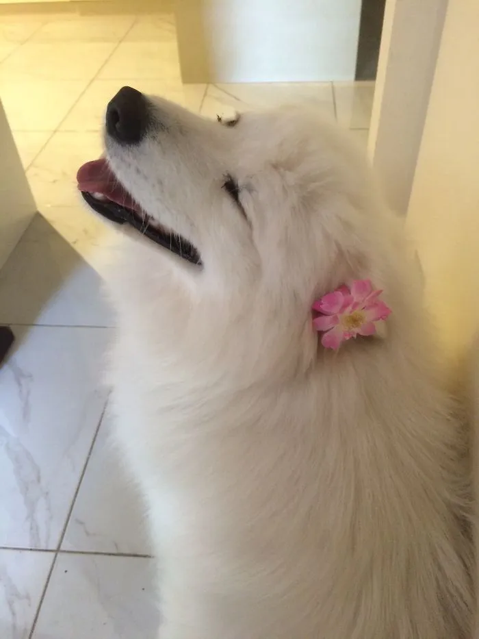 Fabulous