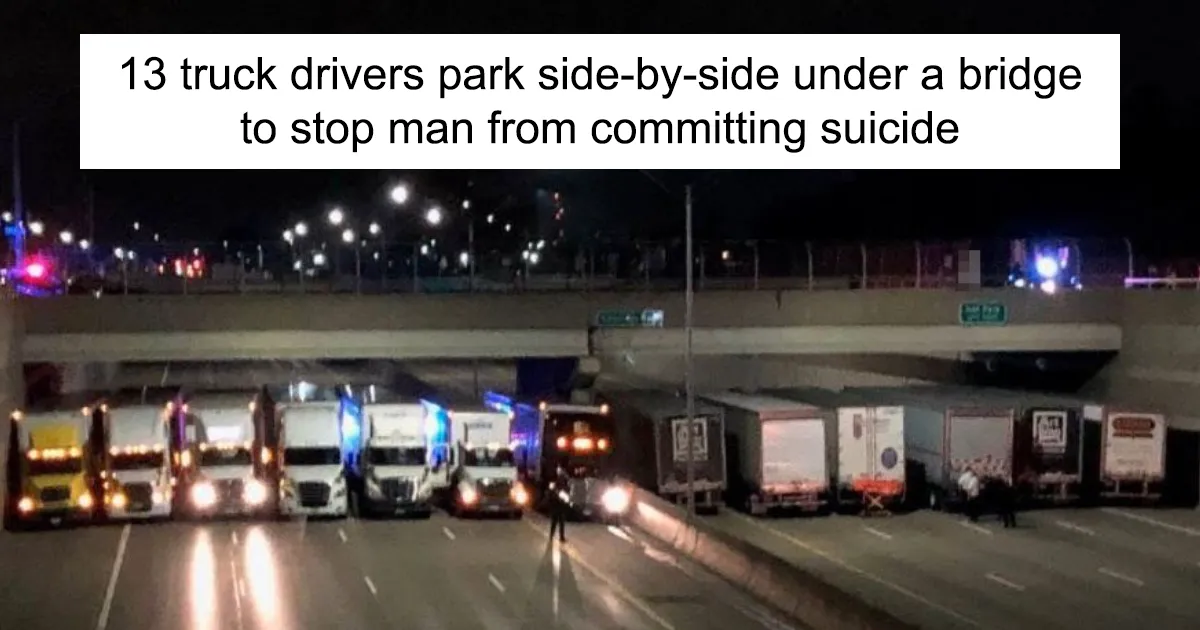 You Will Be Smiling Like An Idiot After Seeing These 50 Wholesome Pictures