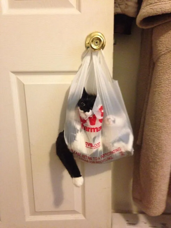 "I've Made A Huge Mistake"