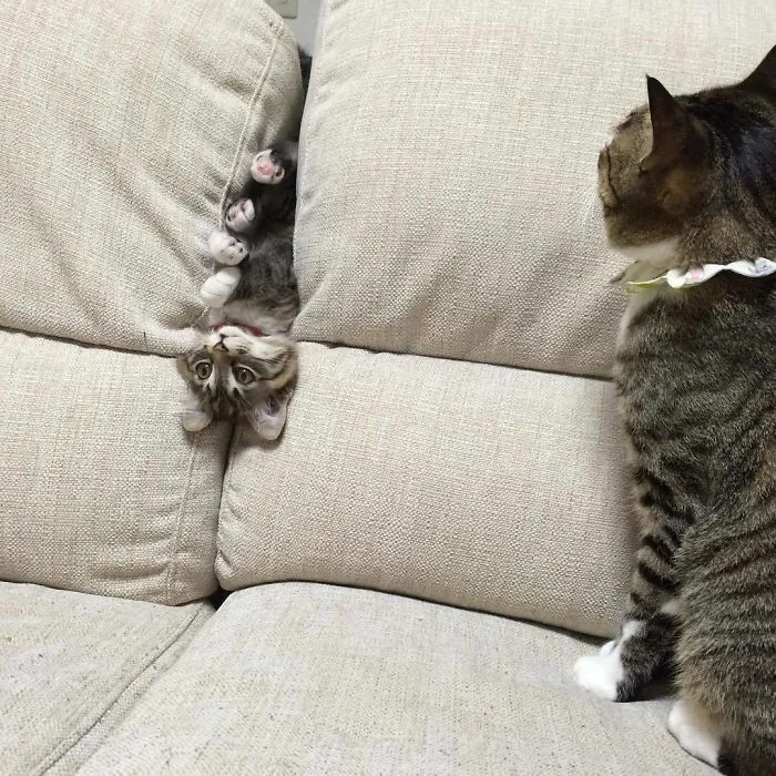 "I Can't Leave You Alone For One Second, Can I?"