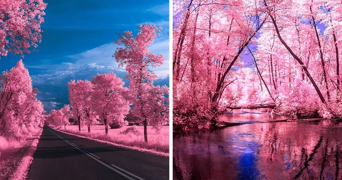I Create Magical Worlds With The Help Of Infrared Photography