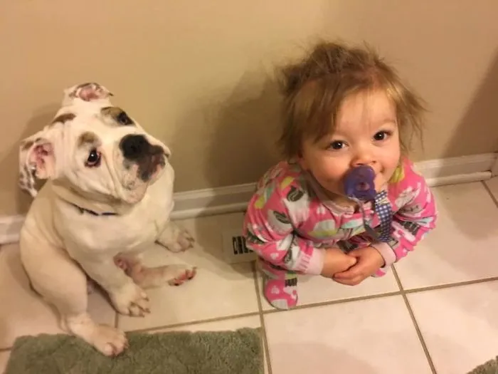 Mi hija y el cachorro se pelean a ver quien se calienta el culo en la ventilación. Hoy ganó mi hija