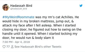 302 Weirdest Roommates That Are Impossible Not To Laugh At... Or Live With