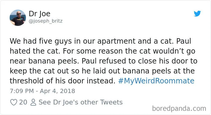 43 Weirdest Roommates That Are Impossible Not To Laugh At... Or Live With