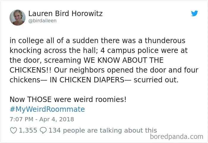 302 Weirdest Roommates That Are Impossible Not To Laugh At... Or Live With