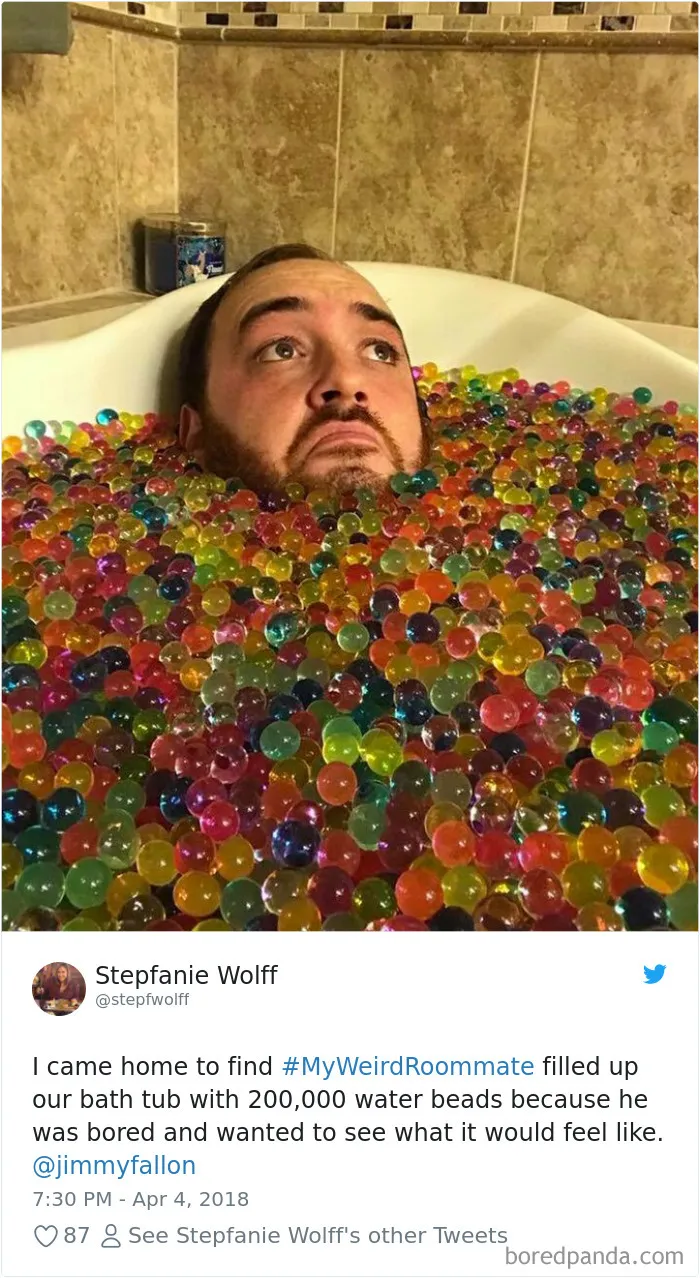 302 Weirdest Roommates That Are Impossible Not To Laugh At... Or Live With