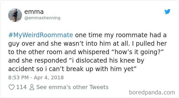 302 Weirdest Roommates That Are Impossible Not To Laugh At... Or Live With