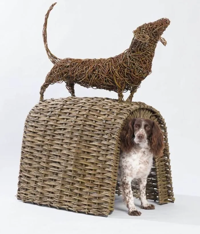 Architects Around The World Design Unique Dog Houses And It's For A Good Cause