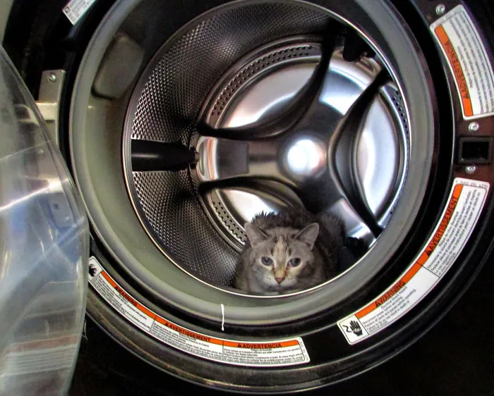 Oh, You Wanted To Do Laundry? Don't Care.
