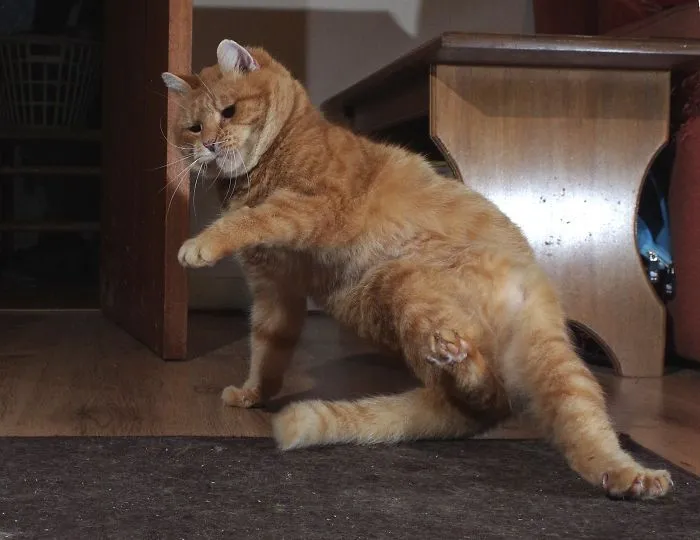 Break Dancing