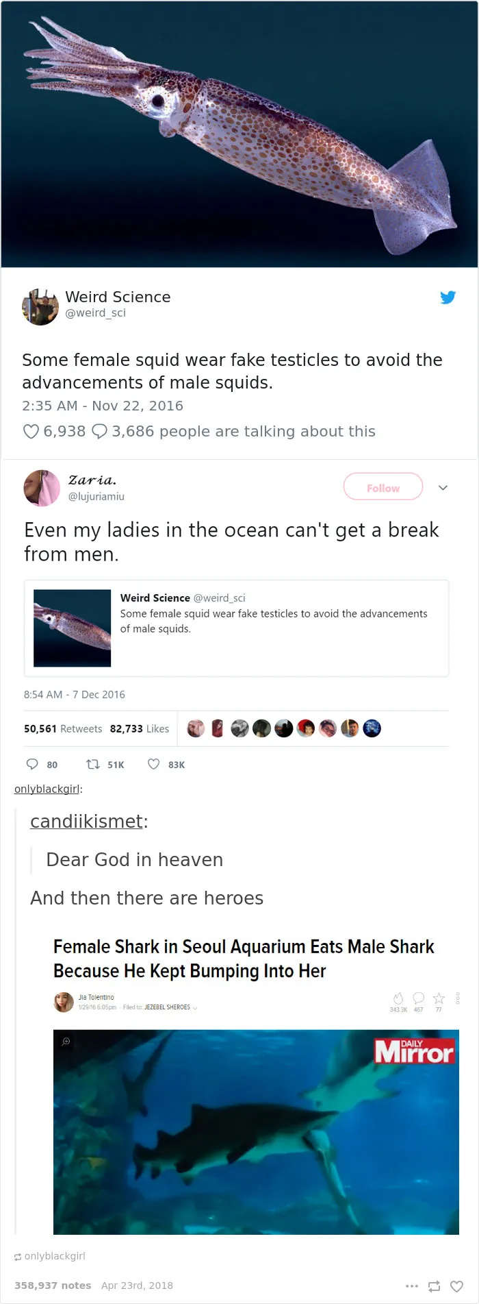 63 Hilarious Tumblr Feminists That Will Make Even The 'Manliest' Men Laugh