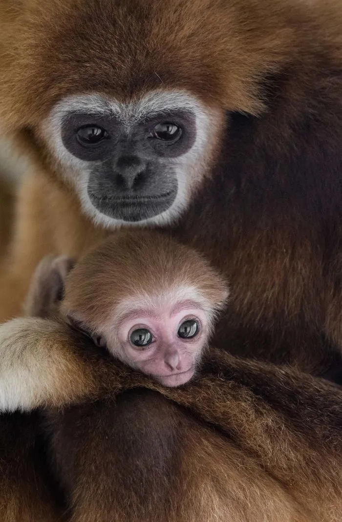 I've Been Photographing Animals For 12 Years