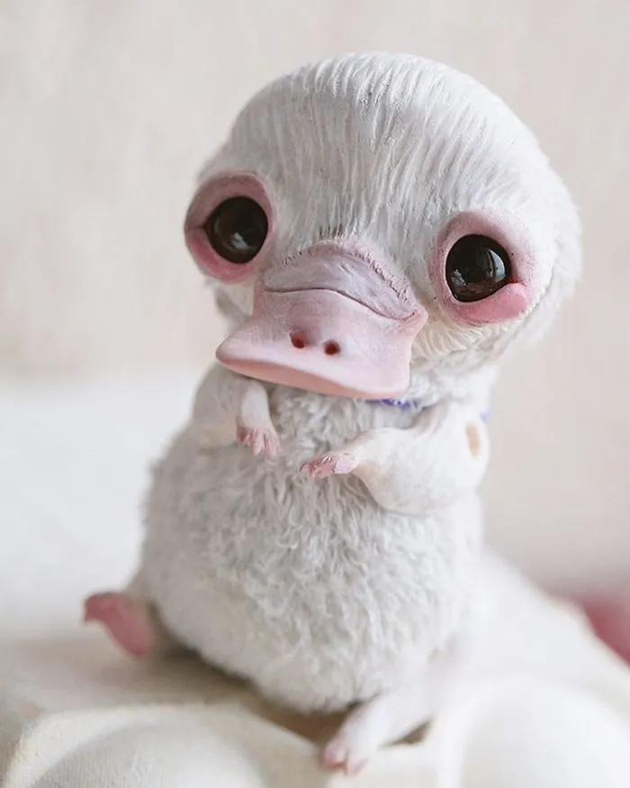 Me dedico a crear adorables y terroríficos muñecos (Nuevas creaciones)