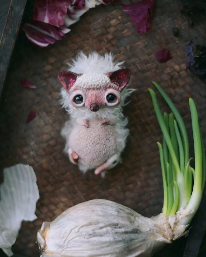 I Create Super Cute And Creepy Dolls (New Creations)