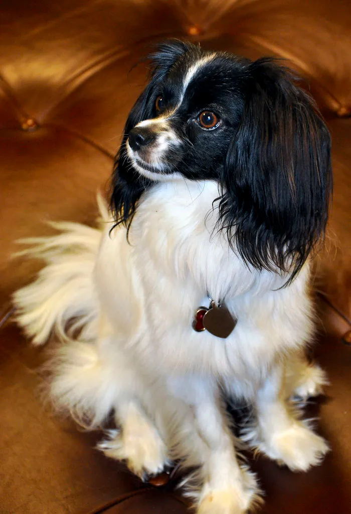 Maggie