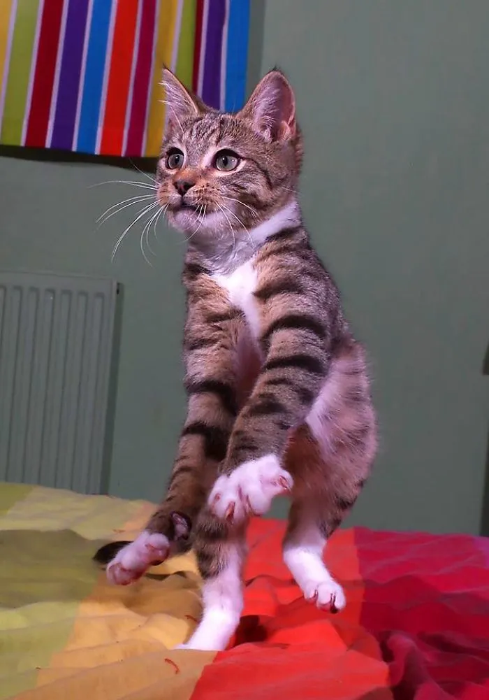 Tap Dancing