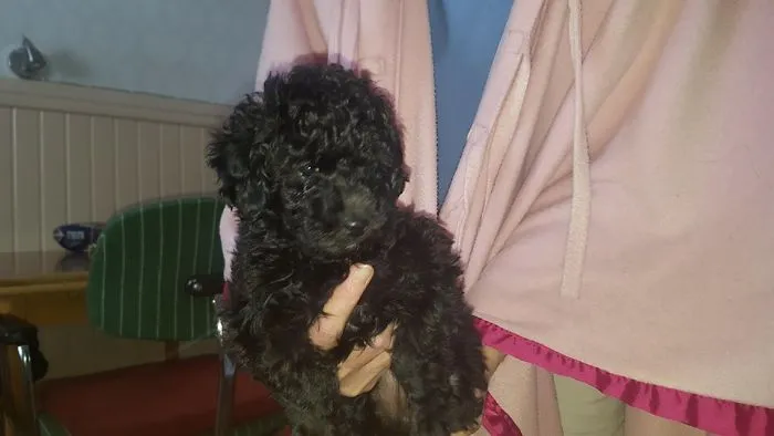 This Is Bella!