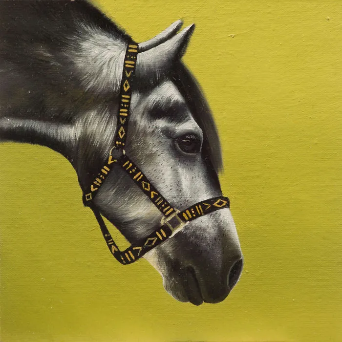 I Challenged Myself To Paint One Horse Portrait Every Day For 365 Days