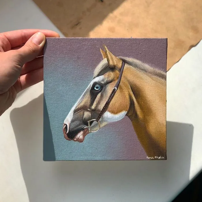 365 Horse Portraits In 365 Days