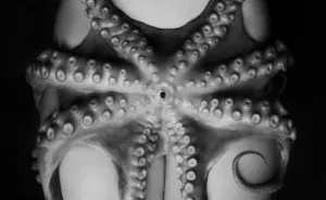 I Combine Surreal Creatures With The Naked Body