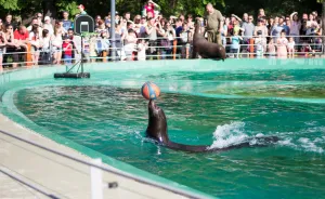 I Went To The Budapest Zoo To Take Some Real Pics.